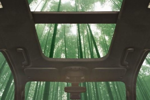 Növényből készített autóalkatrész? Csak elsőre tűnik hihetetlennek!