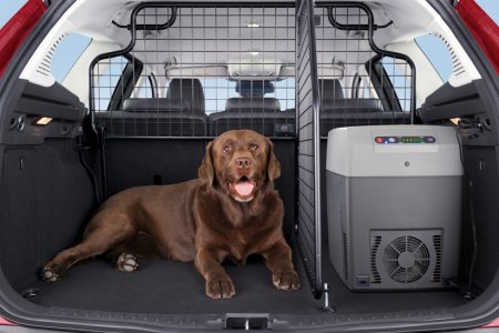 Hozzon ki mindent autója csomagtartójából. 