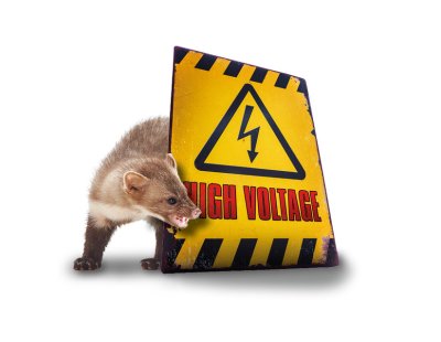 Ford Tourneo Custom - Nyest riasztó