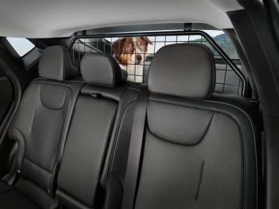Kia EV6 Kutya és raktérrács