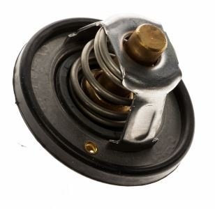 Ford Focus termosztát