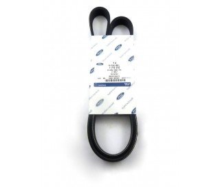 Ford hosszbordás szíj