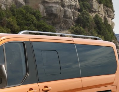 Ford Custom tetősín