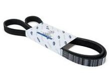 Ford hosszbordás szíj 